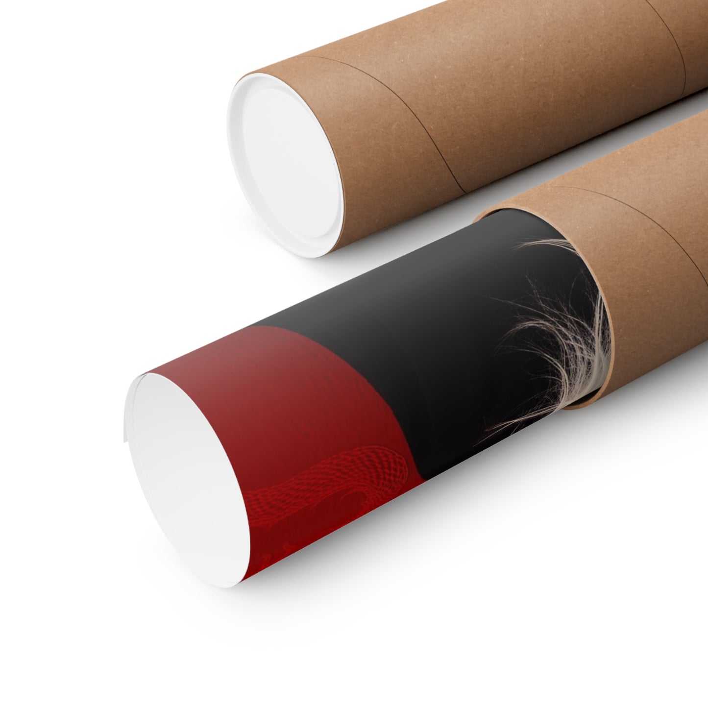 Matte Vertical Posters, Mystic Elegance: White-Haired Woman in Black with Red Dragon (24070504)